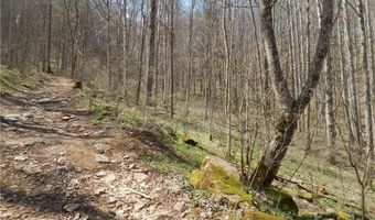 Gentry Farm Road, Aurora, NC 28743