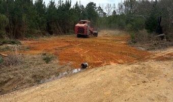Delancey Road, Braxton, MS 39044