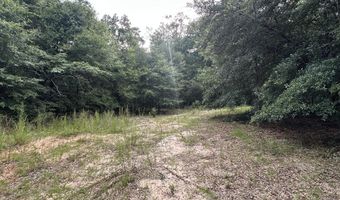 North 5 Ac Keyser Mill Road, Baker, FL 32531