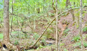 7903 ALABAMA HIGHWAY 63, Alexander City, AL 35010