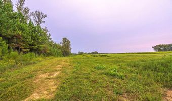 Tract 1 Highway 99, Anderson, AL 35610