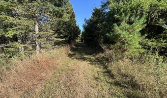 5280 Cathro Rd, Alpena, MI 49707