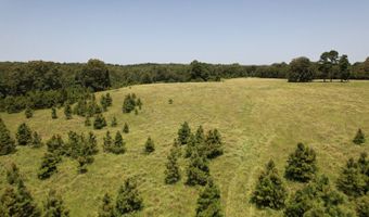 0001 E 1960 Rd, Antlers, OK 74523