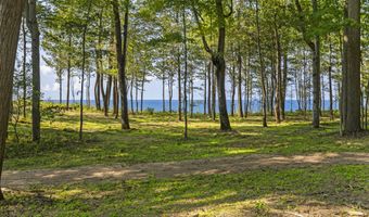 15382 Maxey Rd, Arcadia, MI 49613