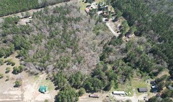 S Sawmill loop, Abbeville, GA 31001