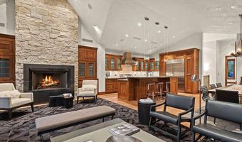 719 E Hopkins Ave 202, Aspen, CO 81611