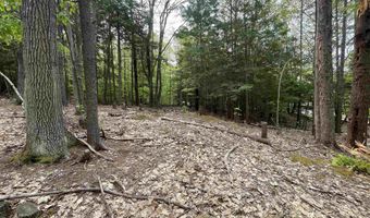 Map 212 Lot 49 Durrell Mountain Road, Belmont, NH 03220