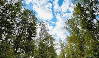 644 Ash-Harrel Loop, Abbeville, GA 31001