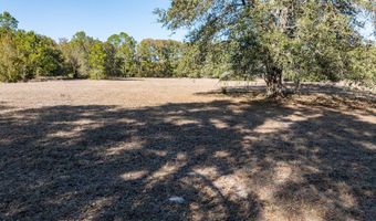 County Road 236 lot 2, Bell, FL 32619