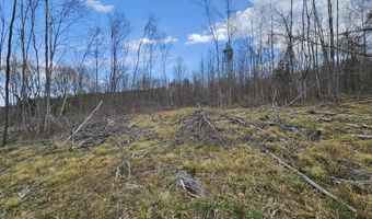 295 Shellstone Rd, Amsterdam, NY 12010