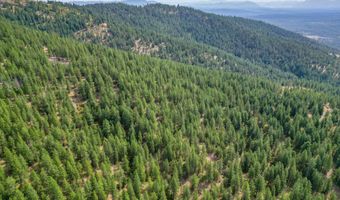 NNA USFS 2550 40 acres, Blanchard, ID 83804