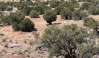 22 N9235, Concho, AZ 85924
