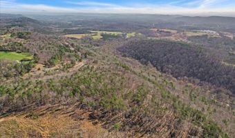 26 Acres U S Highway 278, Attalla, AL 35954