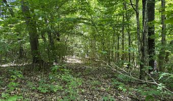 6 8 Acres Friendship South Rd, Afton, TN 37616