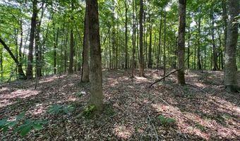 10 97 AC H R Huffer Ln, Allons, TN 38541