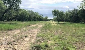 172 FM 601, Albany, TX 76430