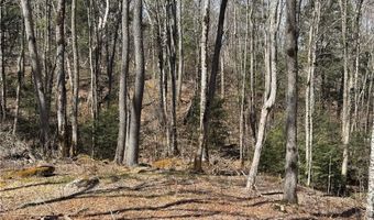ES71 Twisted Oak Path, Banner Elk, NC 28604