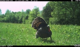 Henderson Rd, Batesville, MS 38606