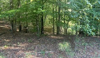 107 Potecasi Creek Dr, Ahoskie, NC 27910