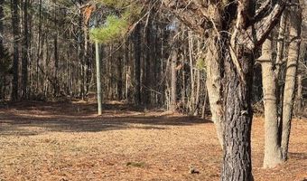 Tbd Highway 461, Ahoskie, NC 27910