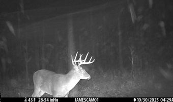 0 W Captina Highway Rd, Alledonia, OH 43902