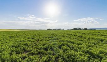 TBD E 1400 N, Ashton, ID 83420