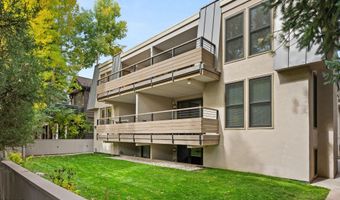 980 E Hyman Avenue 3, Aspen, CO 81611