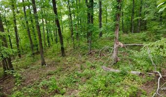 Paradise Lane, Bee Branch, AR 72013