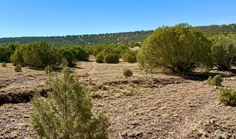 Kirkland DR 20 Acres, Concho, AZ 85924
