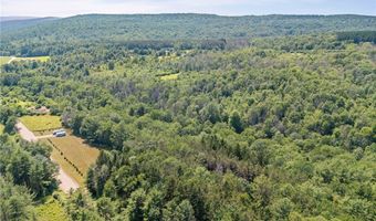 Middle Road, Angelica, NY 14709