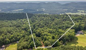 50 Acres Scenic Hwy, Attalla, AL 35954