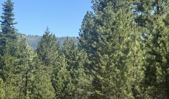 Saddle Rock Dr, Cascade, ID 83611