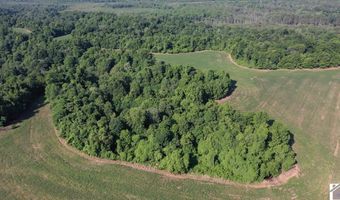 Sandy Branch Road, Bardwell, KY 42023