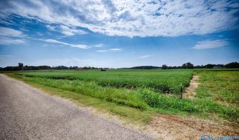 30 Acres Stevenson Rd, Ardmore, TN 38449