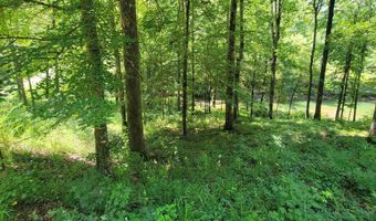 Legendary Parkway lot 25, Arley, AL 35541
