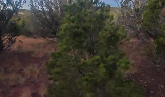 1 COUNTY ROAD N8155, Concho, AZ 85924