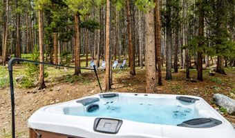 218 GOLDEN CROWN Ln, Blue River, CO 80424