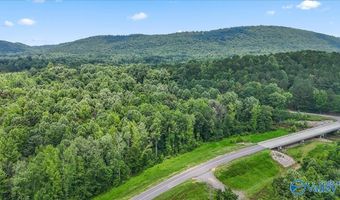Unit # 0 Murphree Valley Road, Altoona, AL 35952