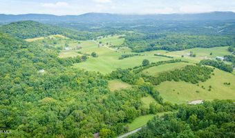 1385 Betsy Ross Rd, Afton, TN 37616
