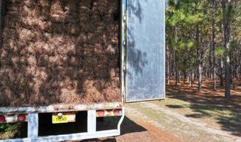Highway 112, Abbeville, GA 31001