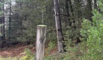 239 Sundale Rd, Accord, NY 12404