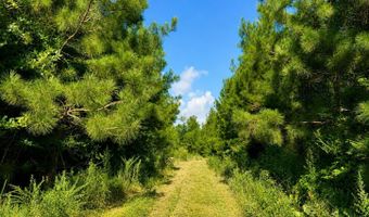 SW Auburn Drive, Bogue Chitto, MS 39629