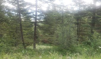 Arlee Pines lot 20, Arlee, MT 59821