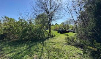95 Terrafirma Ln, Ash Flat, AR 72513