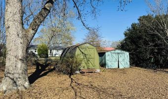 1007 Julian Ave, Albertville, AL 35950