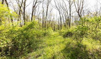 TBD 194th Avenue, Argyle, IA 52619