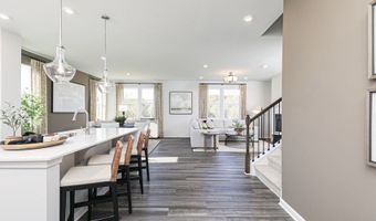 218 Williams Grove Ln, Apex, NC 27523