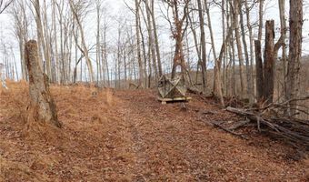 Route 12 Road, Alum Creek, WV 25003