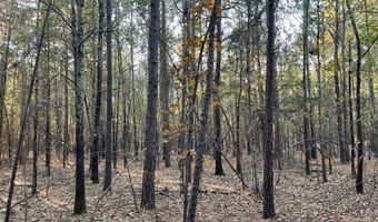 0 E 1912 Rd, Antlers, OK 74523