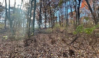 Tbd 125th Street, Alden, WI 54001